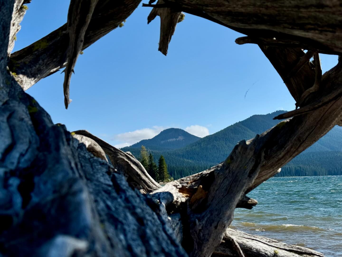 Bumping Lake and Chinook Pass