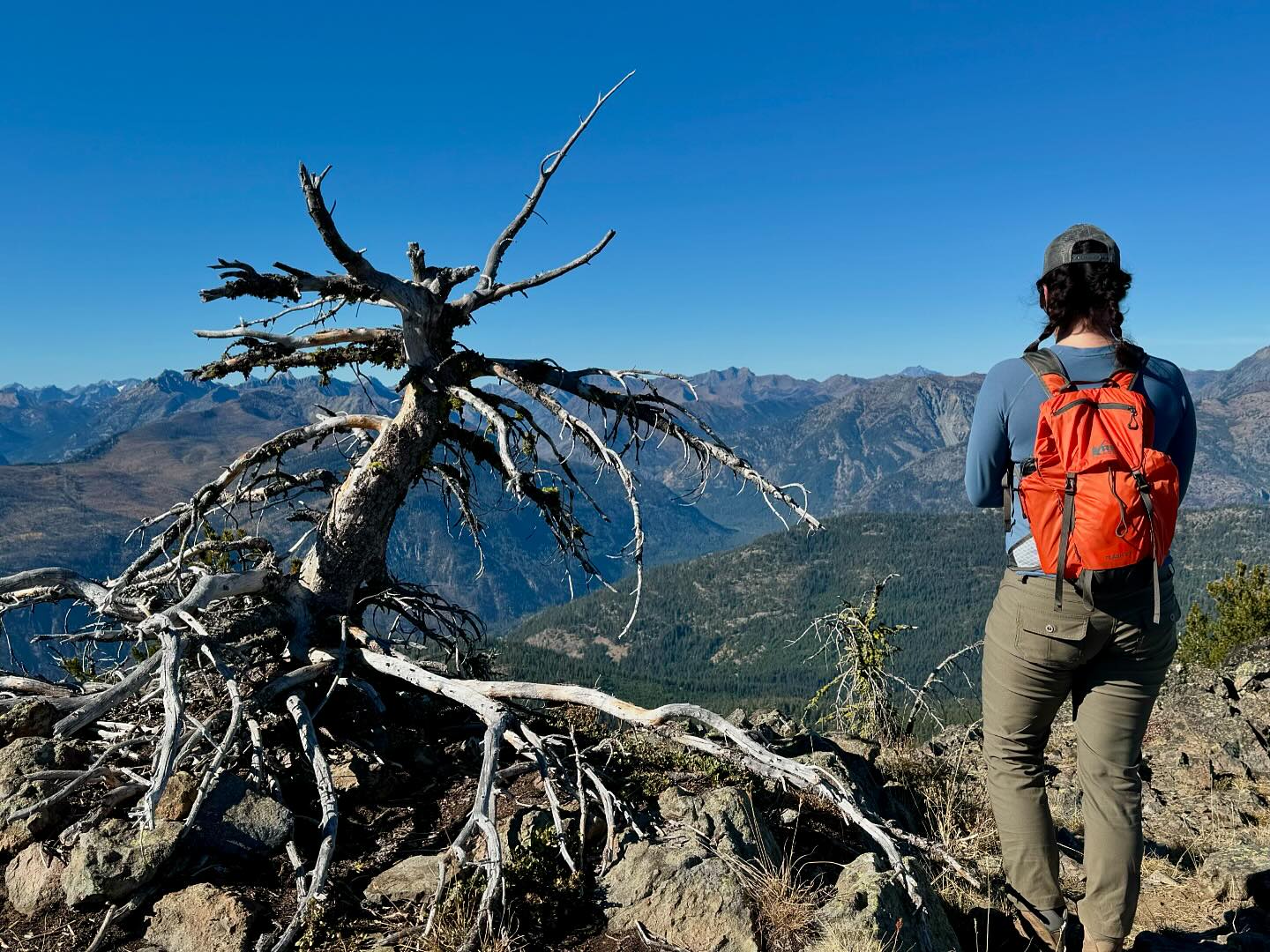 The North Cascades are terrible in the fall. You should visit Idaho or Montana instead.