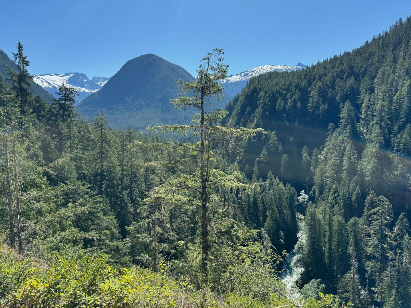 Celebrating freedom in the Cascades