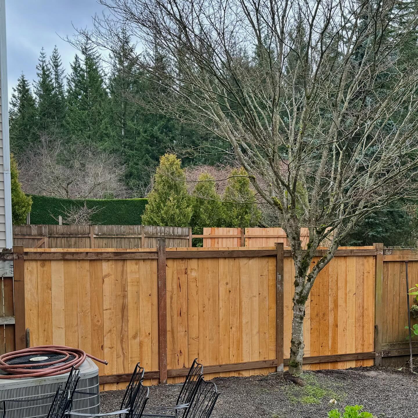 Bomb Cyclone fence repair. The important part is I started after and finished before the neighbors contractor.