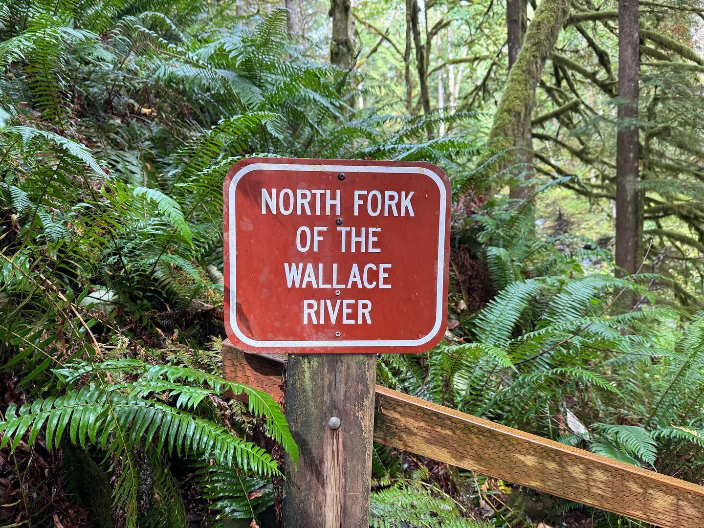 Wallace Falls Hike