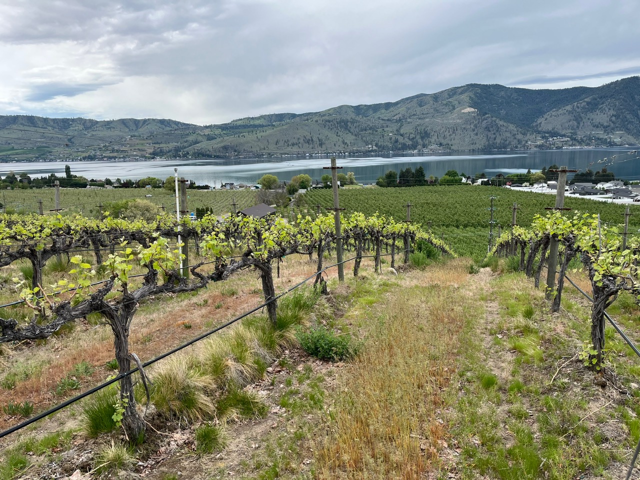 Chelan Ridge