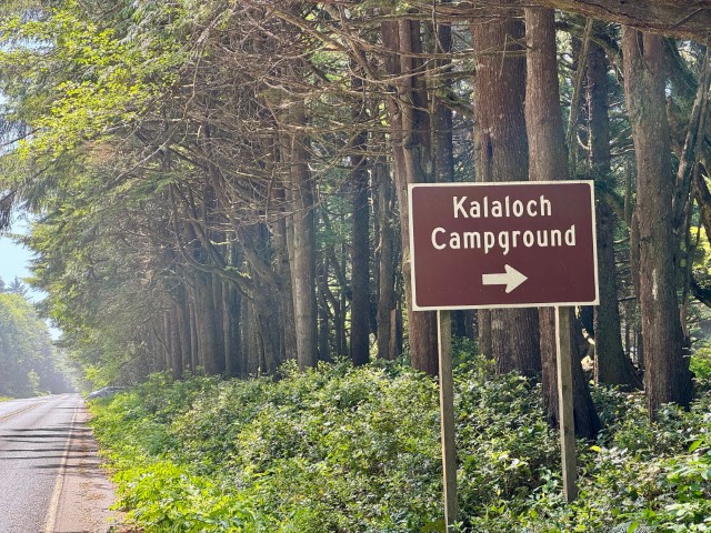 Kalaloch Beach