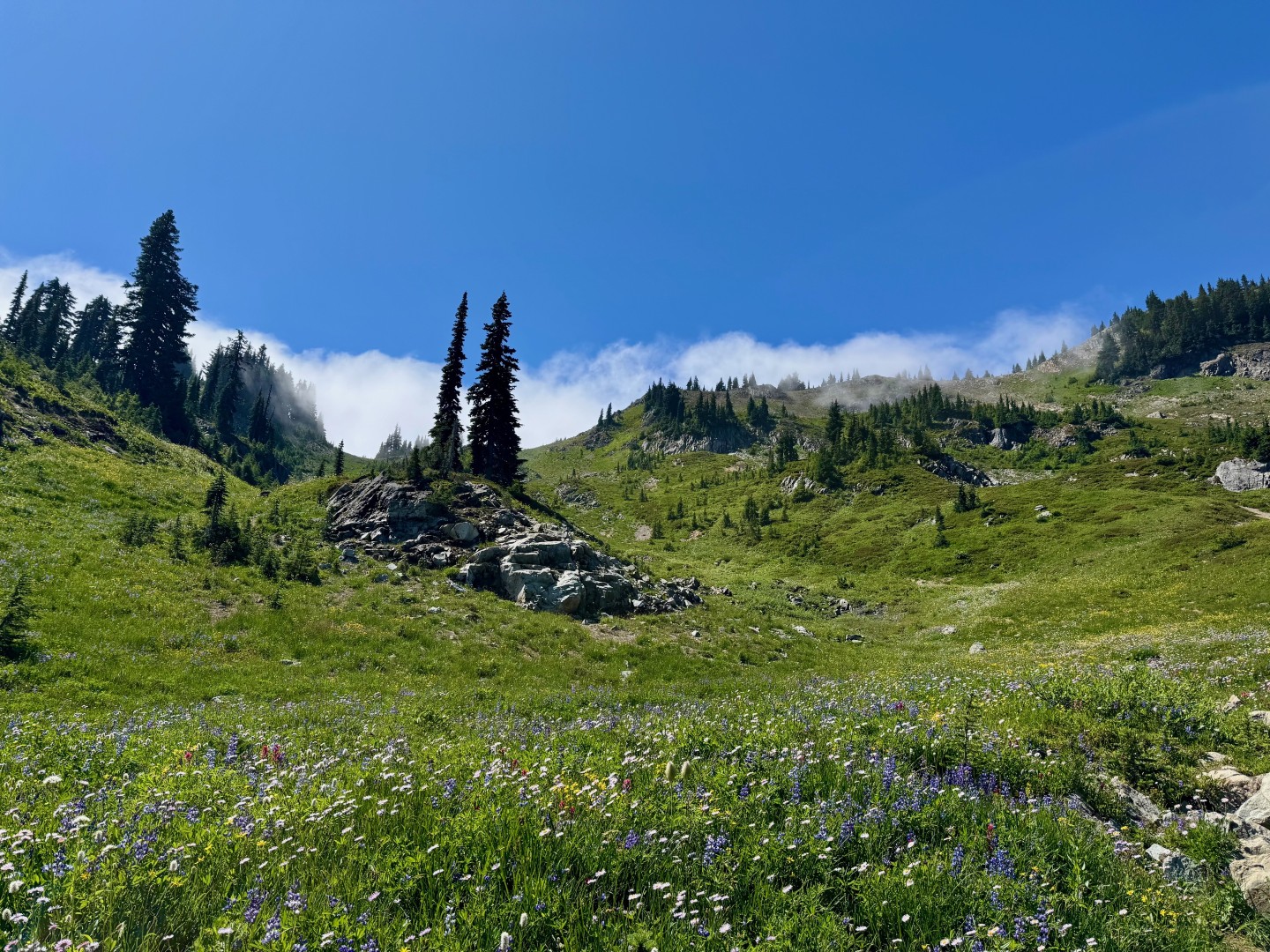 Naches Loop Trail