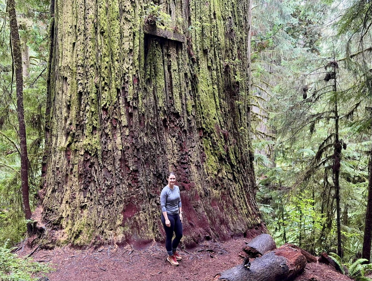 Boy Scout Tree Trail