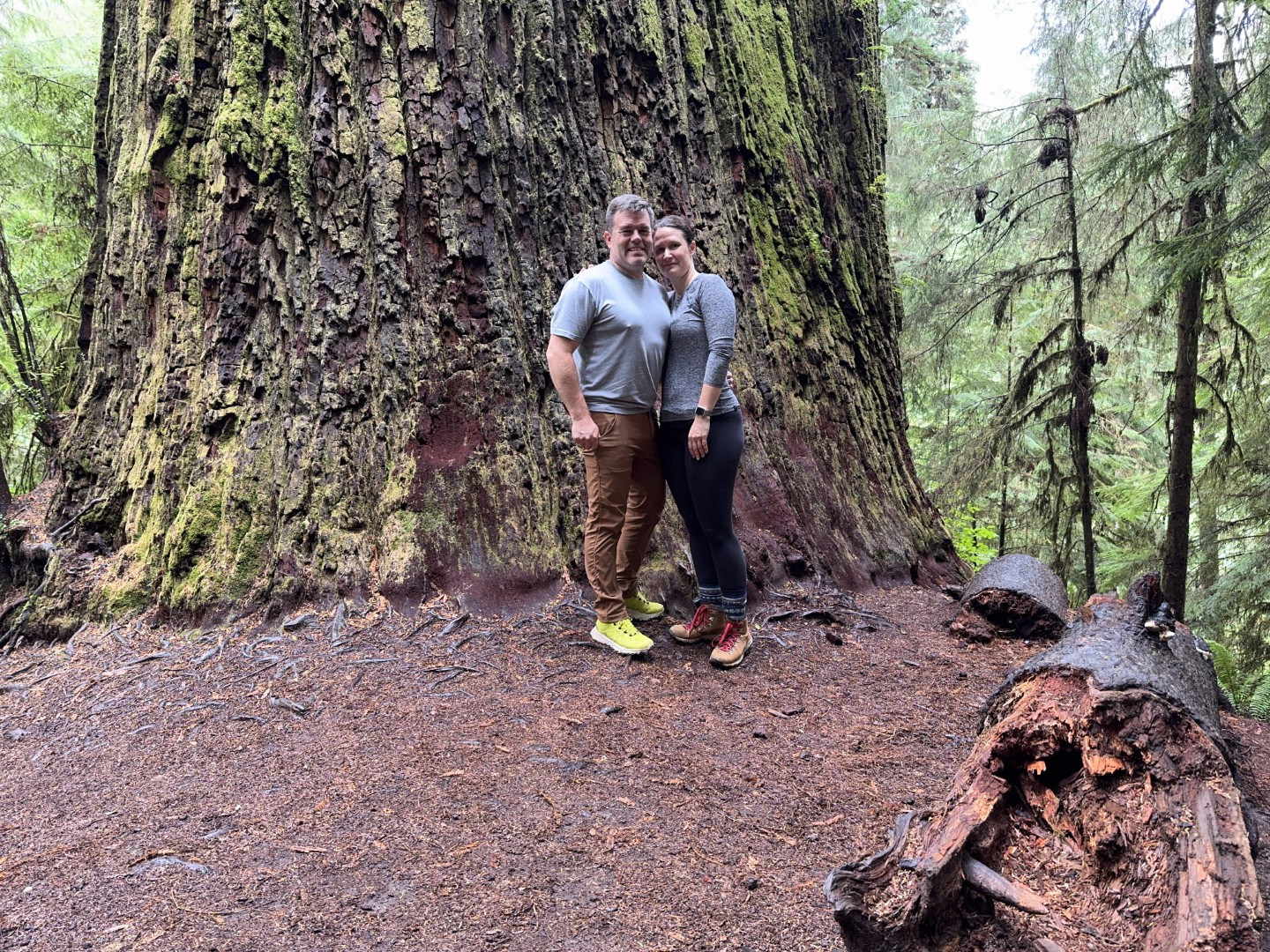 Boy Scout Tree Trail