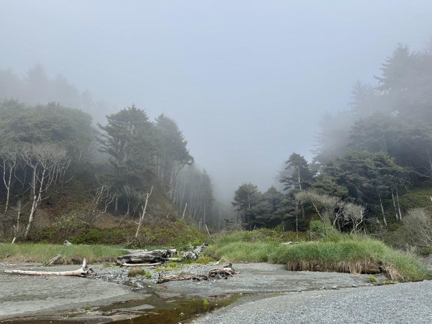 Carruthers Cove