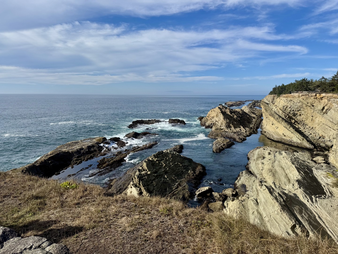 Shore Acres