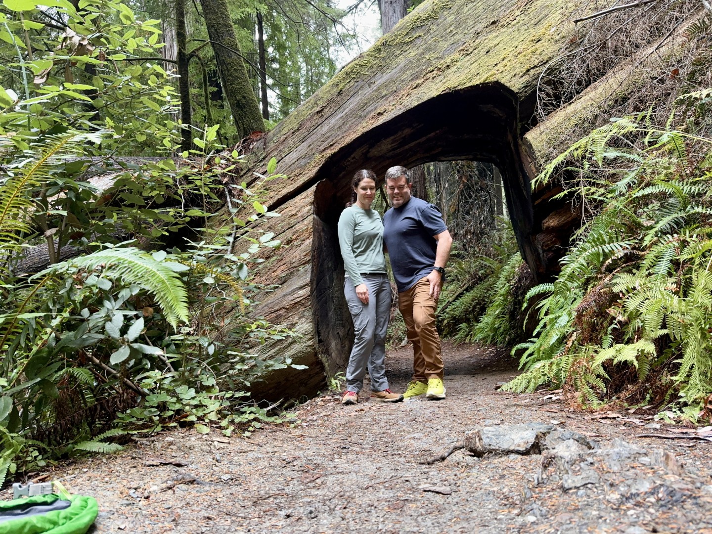 Tall Trees Grove