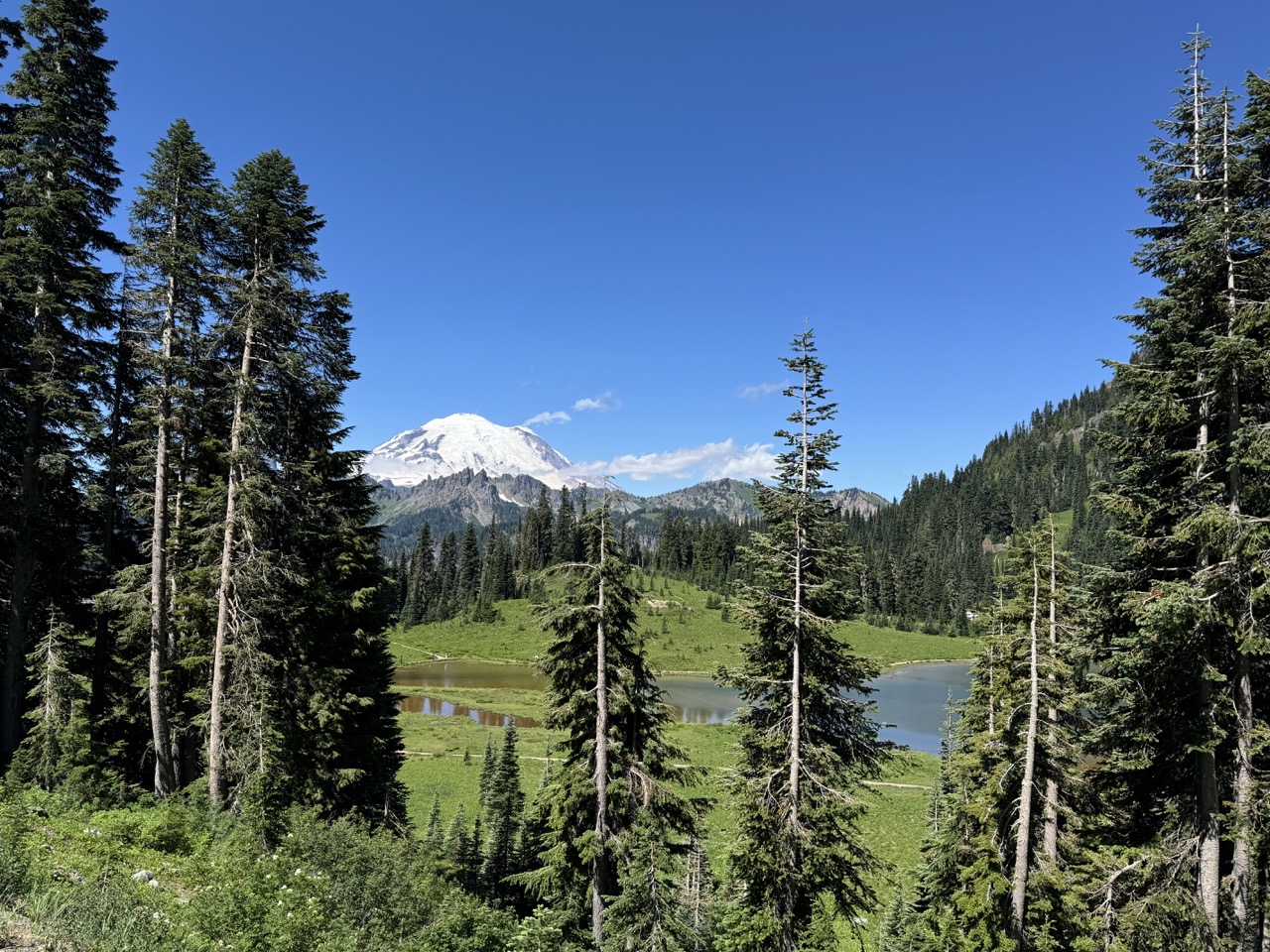 Chinook Pass