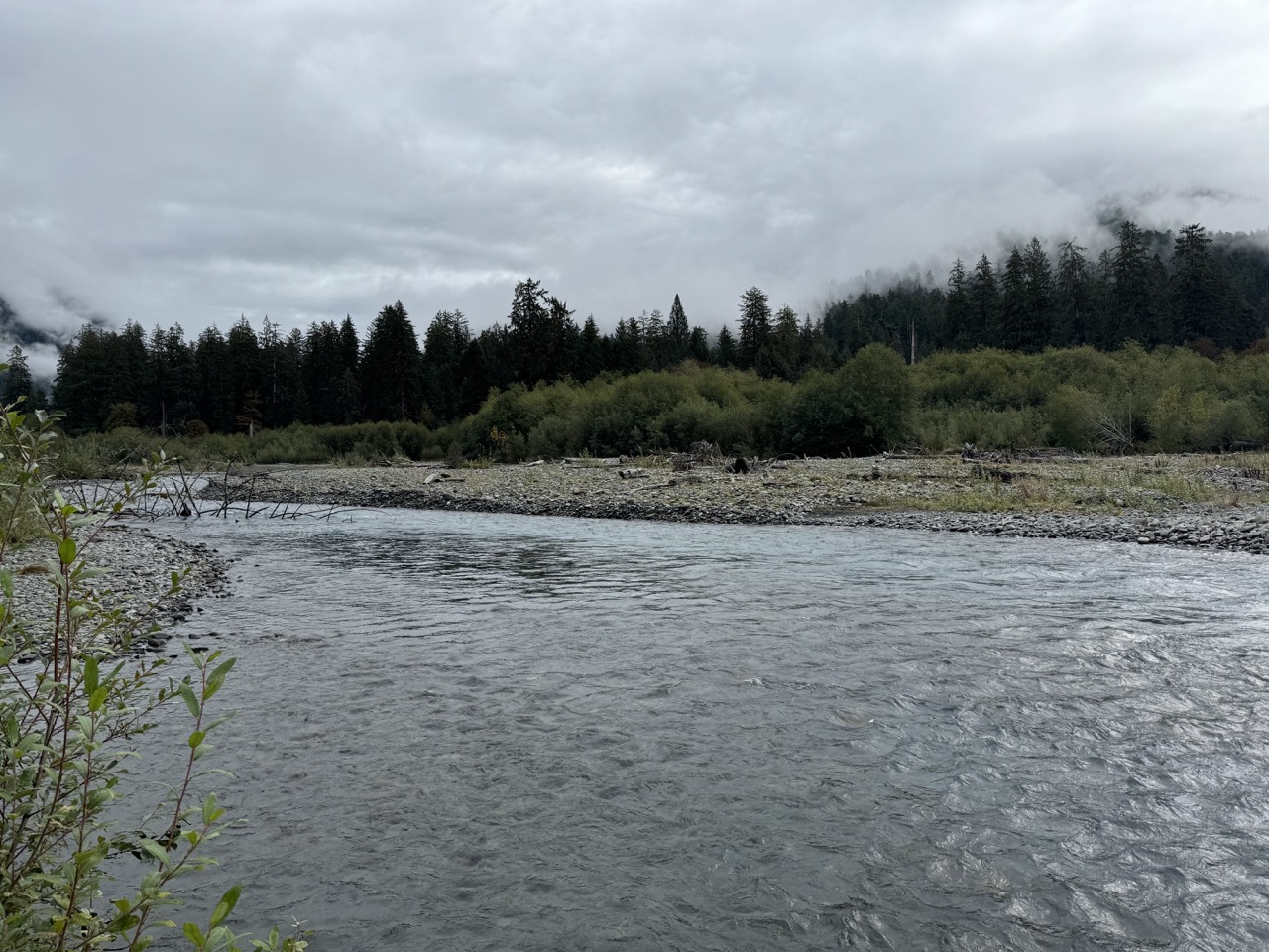 Hoh Rain Forest Campground