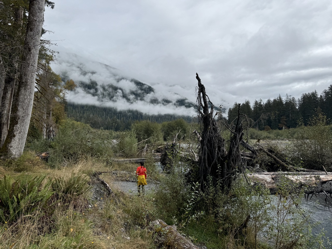 Hoh Rain Forest Campground