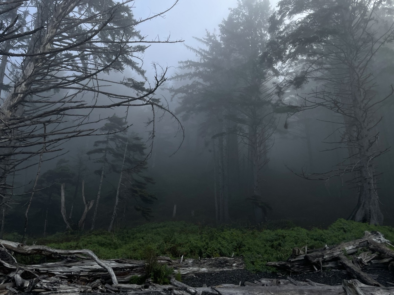 Rialto Beach